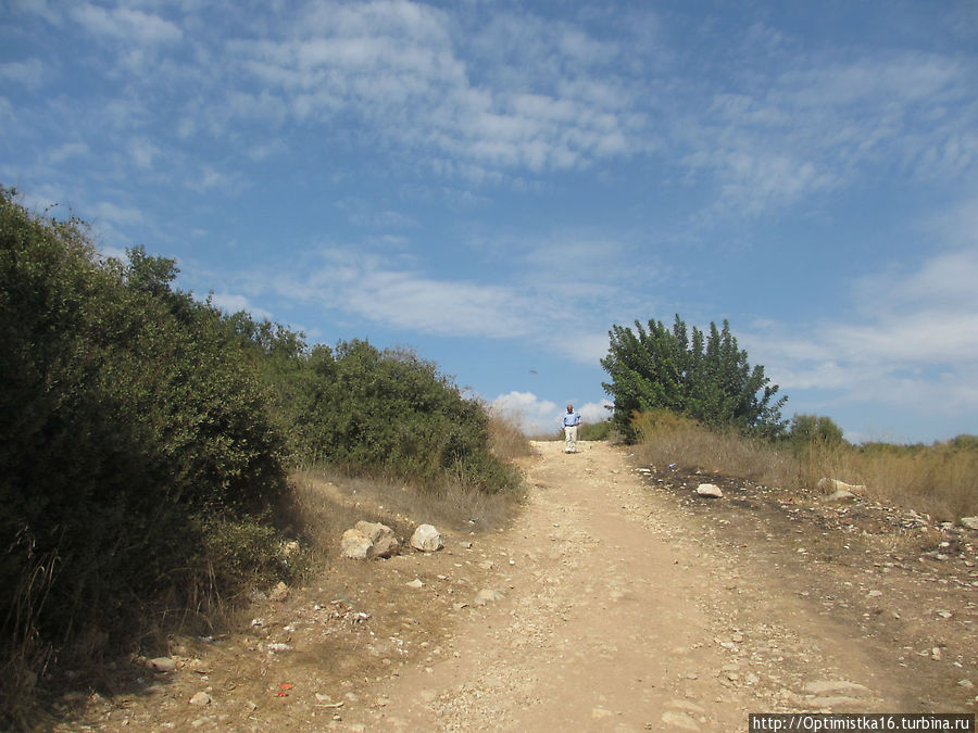 Прошёл год. И снова Дидим в октябре Дидим, Турция Прошёл год. И снова Дидим в октябре Дидим, Турция