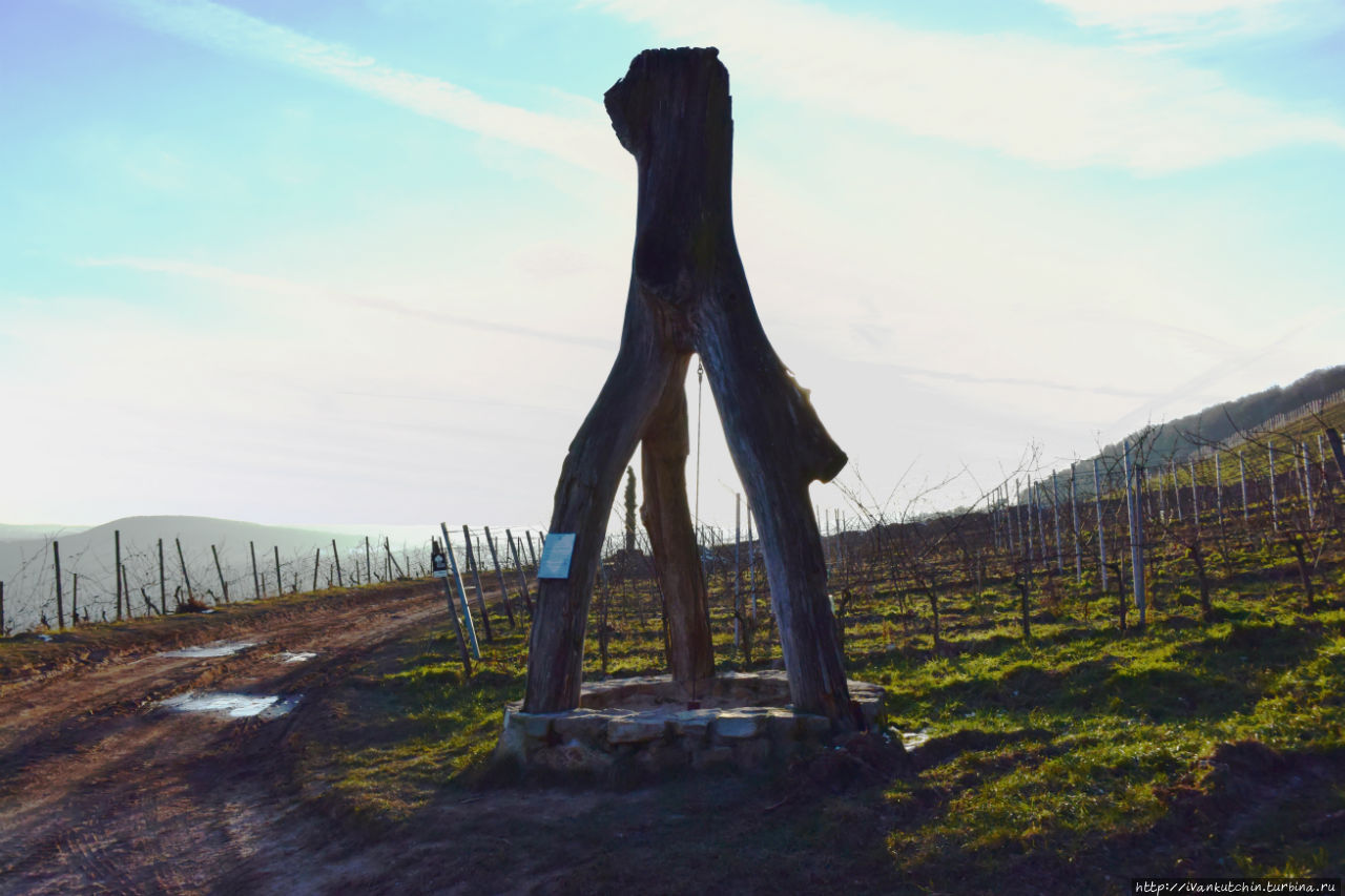 А что это такое? А что это такое?