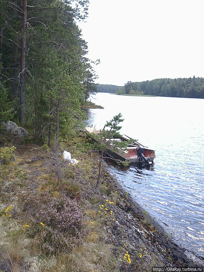 Выходные на Суйсари (в соавторстве с братом) Суйсарь, Россия Выходные на Суйсари (в соавторстве с братом) Суйсарь, Россия