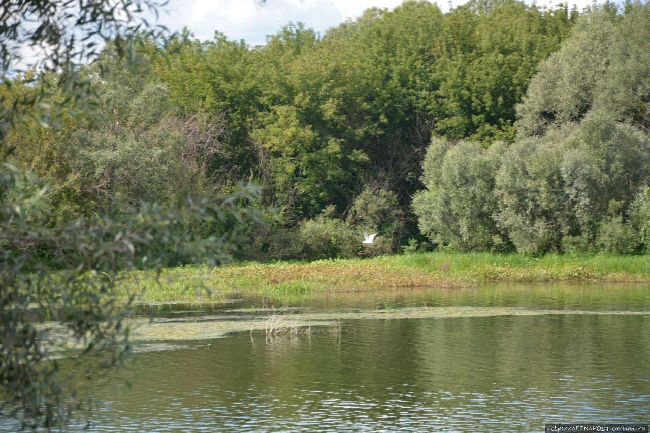 На пароме Лысково, Россия