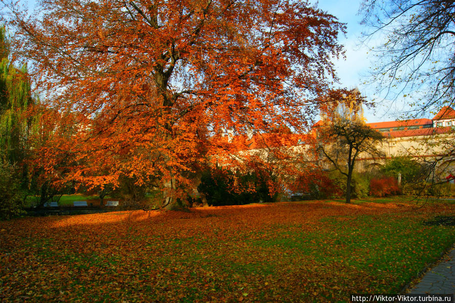 Вояновы сады в центре Праги Прага, Чехия Вояновы сады в центре Праги Прага, Чехия
