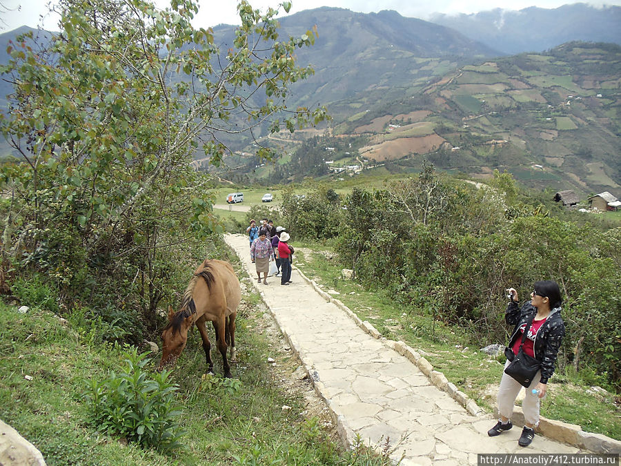 Для туристов тропа выложенная камнем. Для туристов тропа выложенная камнем.