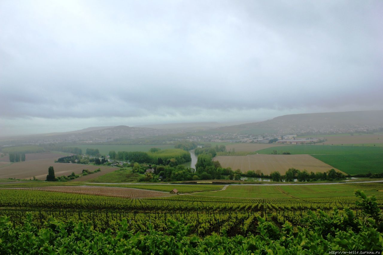 Дегустационный повод: виноградники Отвийе /Hautvillers Отвийе, Франция