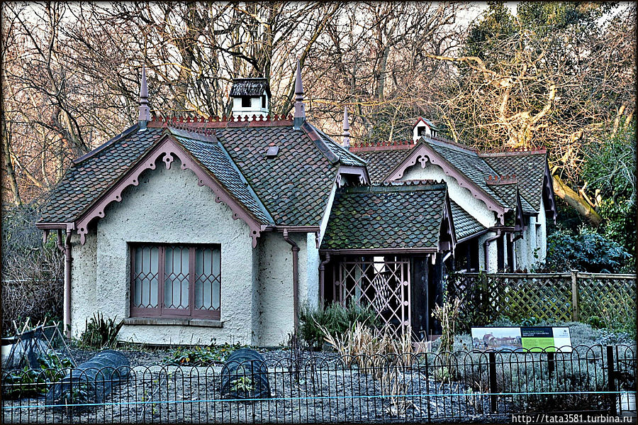 Утиный остров Утиный остров