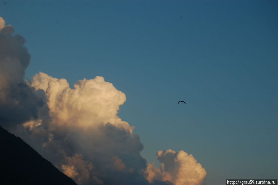 Облака и чайка Гагра, Абхазия