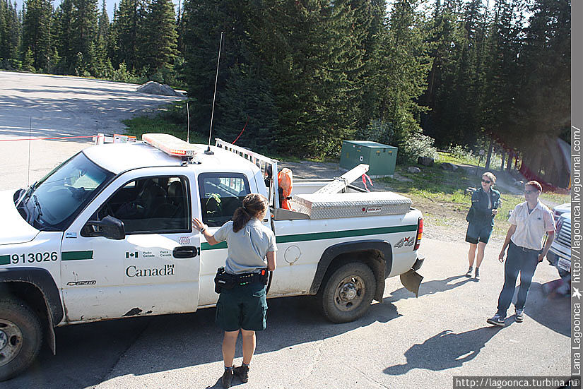 Наблюдаем в окно автобуса как лесные спец службы собираются загонять гризли назад в лес. Наблюдаем в окно автобуса как лесные спец службы собираются загонять гризли назад в лес.