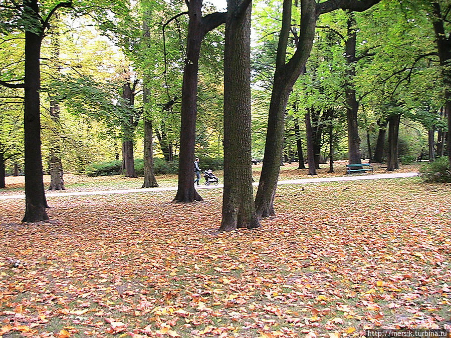 Парк Лазенки: павлины и белки Варшава, Польша
