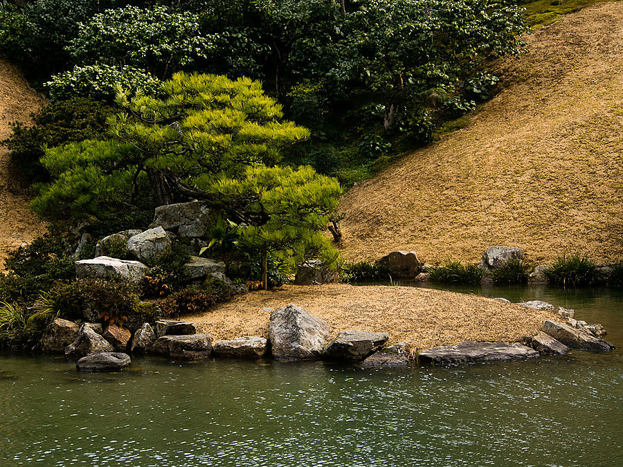 Сад в храме Каннон-ин Тоттори, Япония