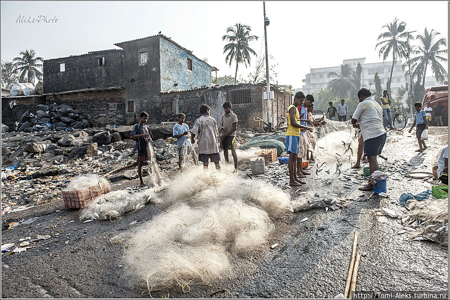 Рыба, которую рыбаки извлекали из сетей, не впечатлила меня, но они относились к своему занятию со всей серьезностью. Сверху за ними наблюдали мальчишки. Как они умудряются не запутать все эти сети...
* Рыба, которую рыбаки извлекали из сетей, не впечатлила меня, но они относились к своему занятию со всей серьезностью. Сверху за ними наблюдали мальчишки. Как они умудряются не запутать все эти сети...
*