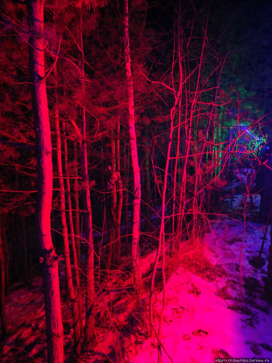 Я в весеннем лесу....пил))) Красноярск, Россия Я в весеннем лесу....пил))) Красноярск, Россия