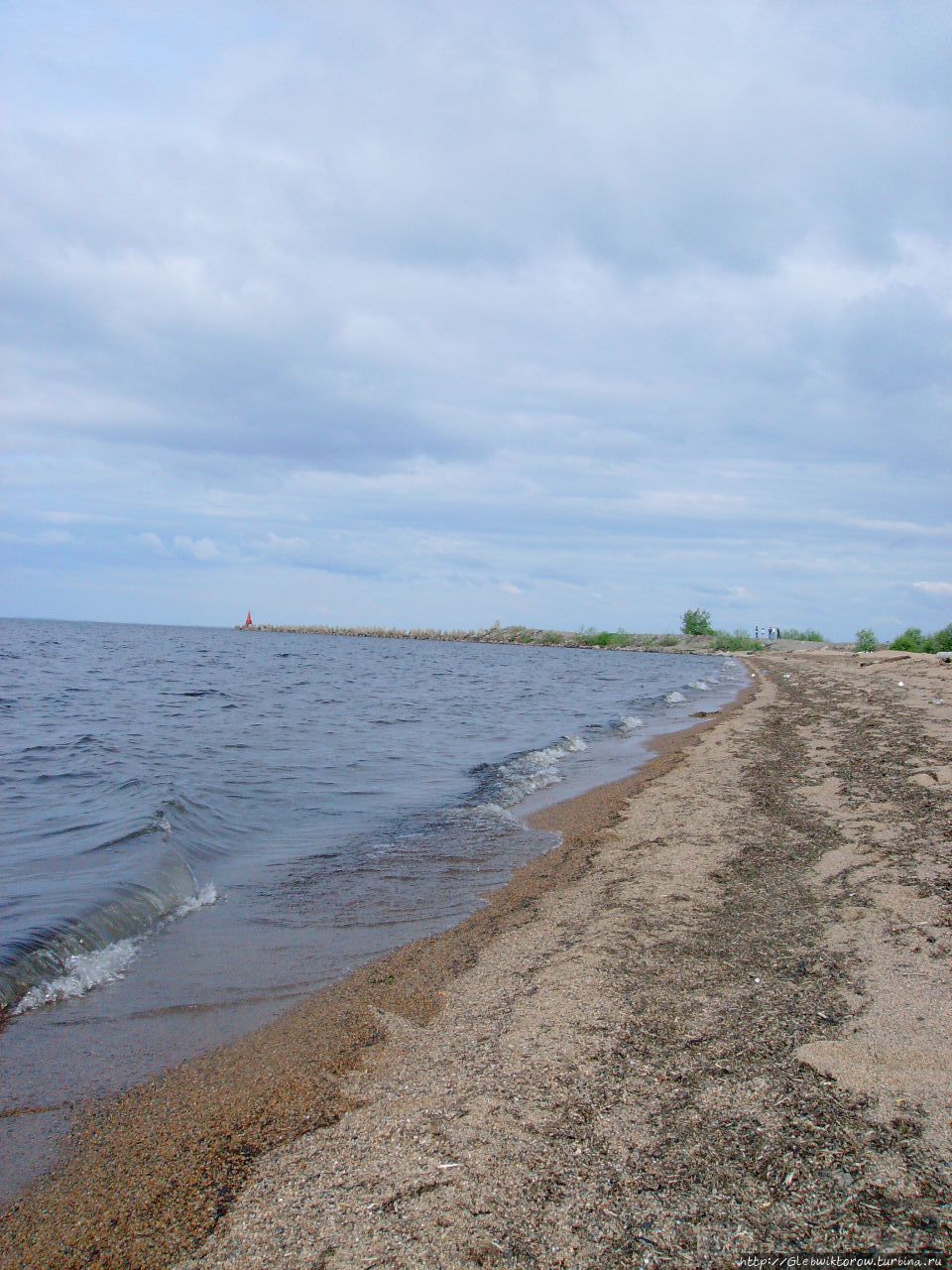 Прогулка к озеру и возвращение в Череповец Белозерск, Россия