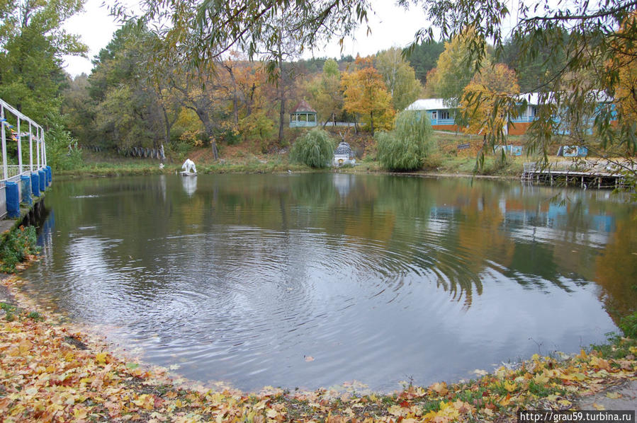 Черемшаны. Живая и мёртвая вода Черемшаны, Россия