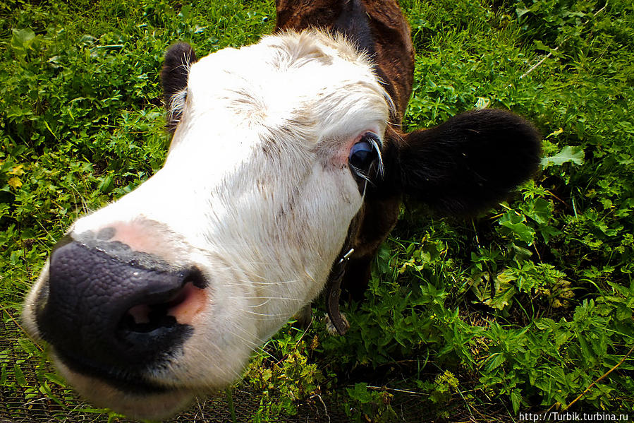 Морской Глаз Морской Глаз (озеро), Россия Морской Глаз Морской Глаз (озеро), Россия