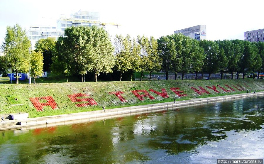 Они читают ярко-красную цветочную надпись на зелёном фоне: «Я люблю тебя» Вильнюс, Литва