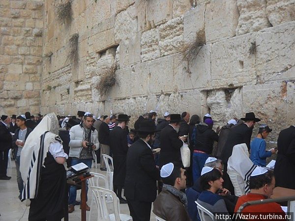 Молящиеся Иерусалим, Израиль