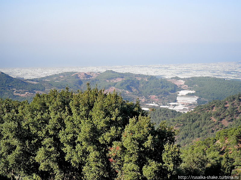 Белое Белое