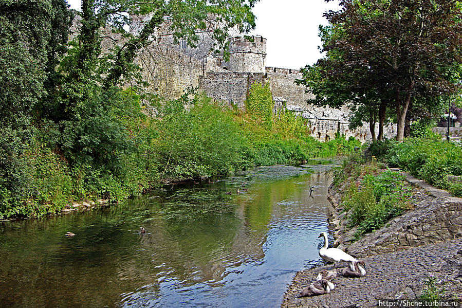 после посещения замка не много прогулялись по парку Кэр, Ирландия