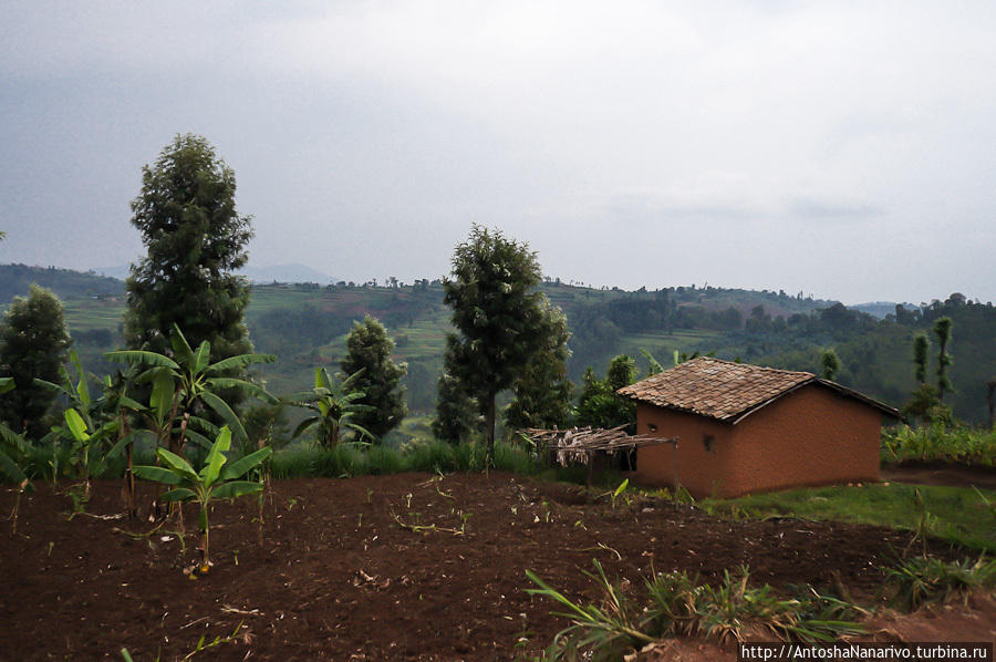 Кибехо Кибехо, Руанда