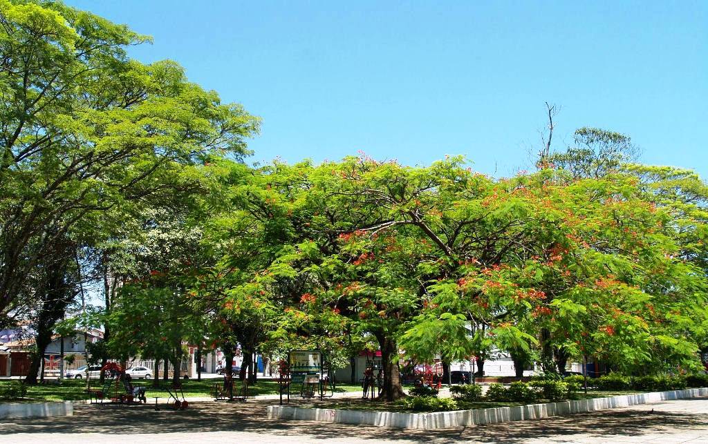 Церковь и площадь Санта-Терезинья Таубате, Бразилия