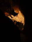 в пещере Мамонта
