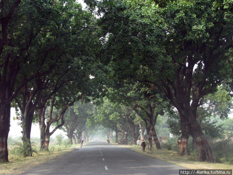 Дорога Кхаджурахо-Орчха, Дорога Кхаджурахо-Орчха,