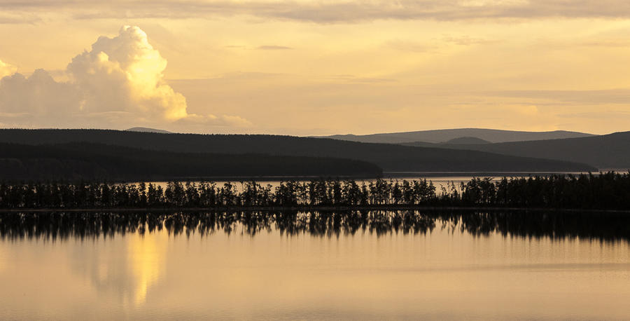 Тончайшая перемычка в озере покрытая лиственницами в один ряд против всяких законов гидрологии и министерств лесных хозяйств. Монголия