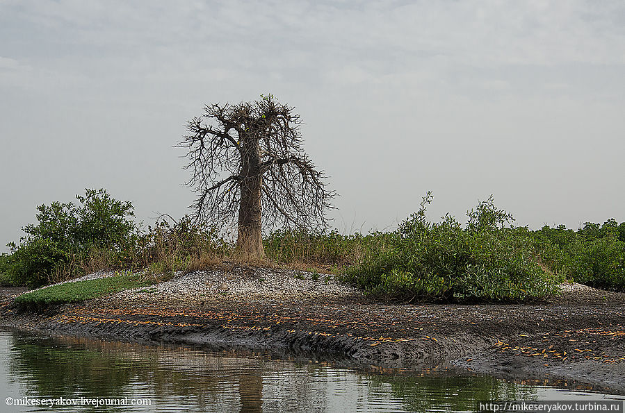 Деревня Мар Лодж и сенегальская школа Мар-лодж, Сенегал Деревня Мар Лодж и сенегальская школа Мар-лодж, Сенегал