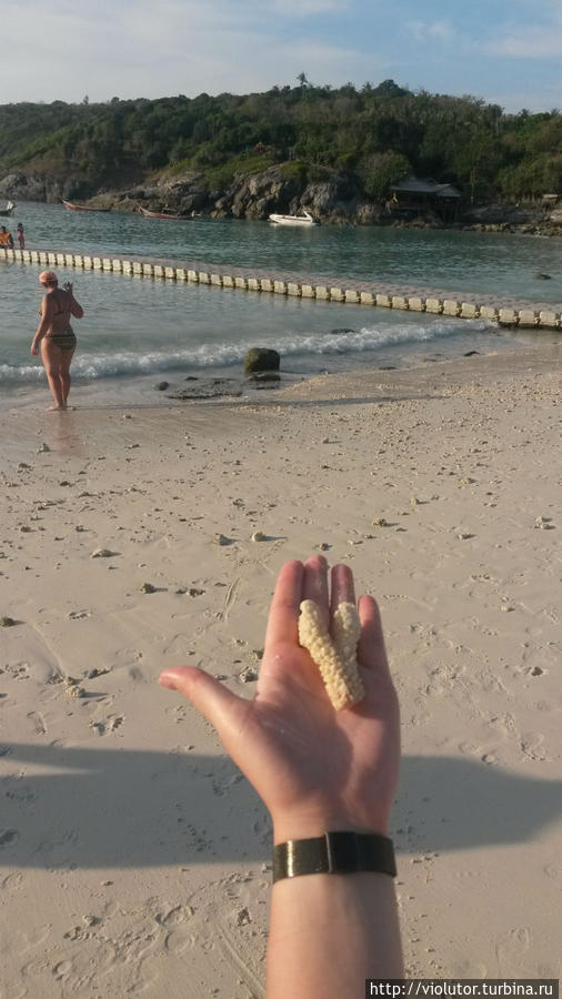 Хрустим песком острова Рача