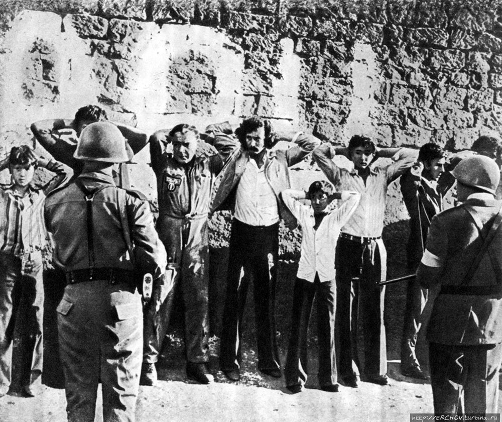 Фото из интернета. Фото из интернета.