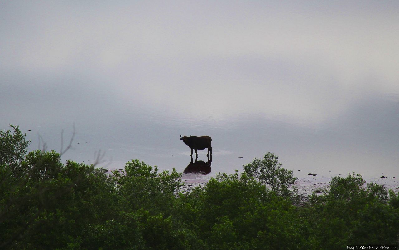 Озеро Нуамунука / Lake Nyamunuka