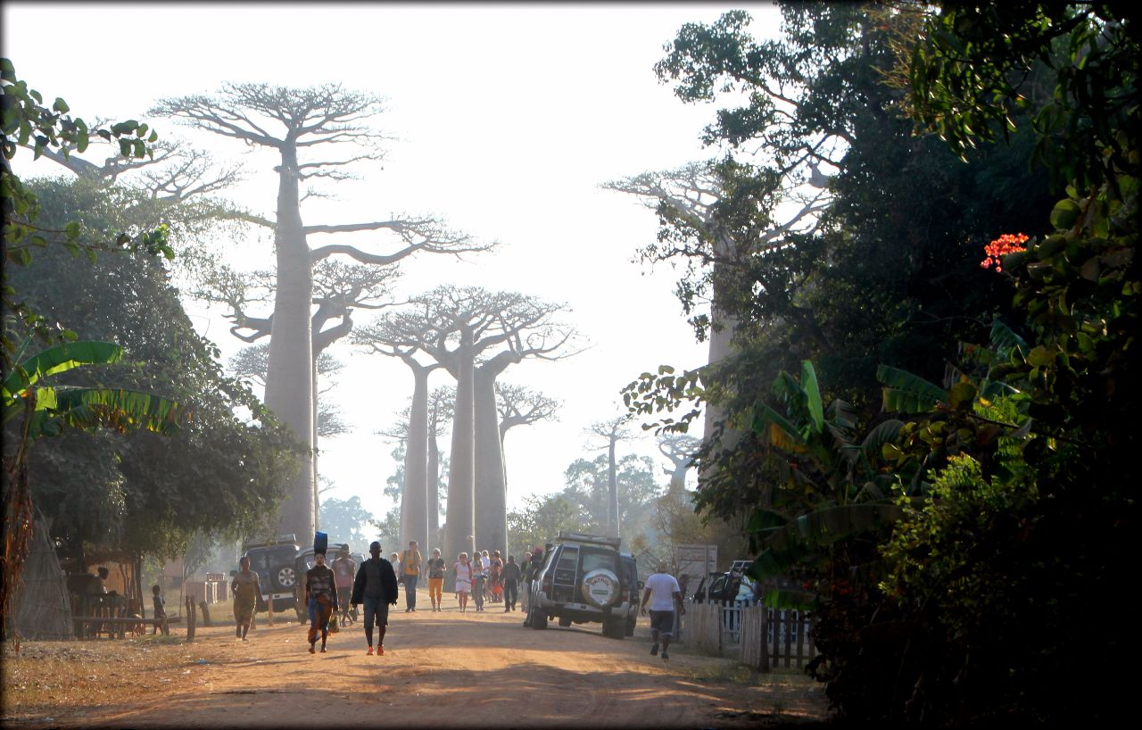 Мадагаскарские хроники — переправа Mania Белу-Цирибихина, Мадагаскар