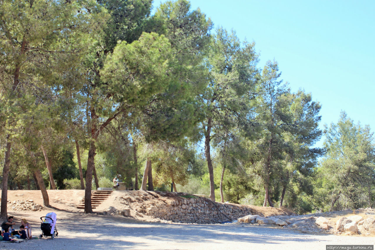 Вот в этом лесочке без всякой охраны находятся остатки древней винодельни, а так же столики для пикника и большая стоянка Лахиш, Израиль