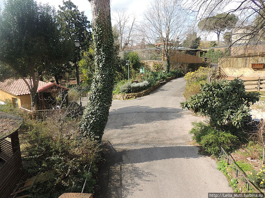 Zoo Roma Рим, Италия Zoo Roma Рим, Италия