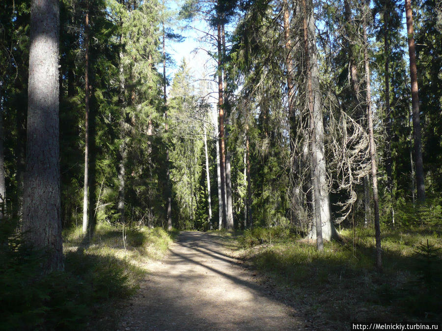 Парк Ауланко Хяменлинна, Финляндия