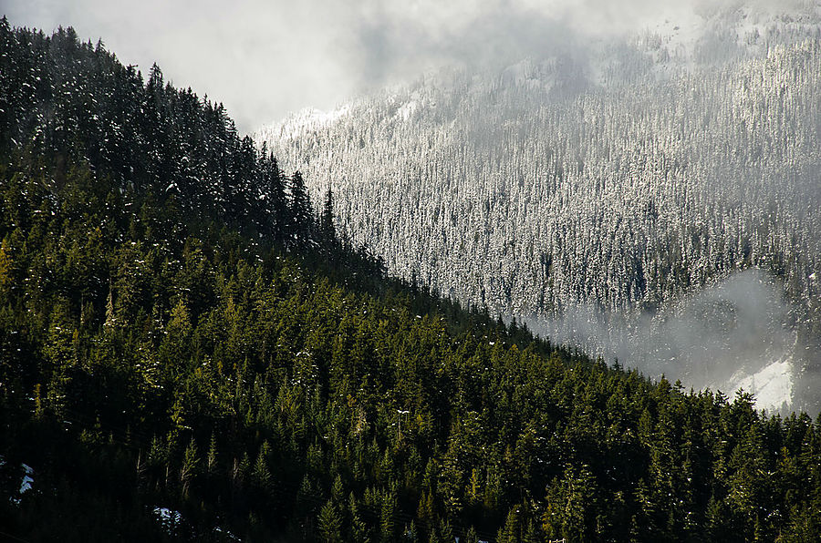 Начало зимы в Уистлере Уистлер, Канада Начало зимы в Уистлере Уистлер, Канада