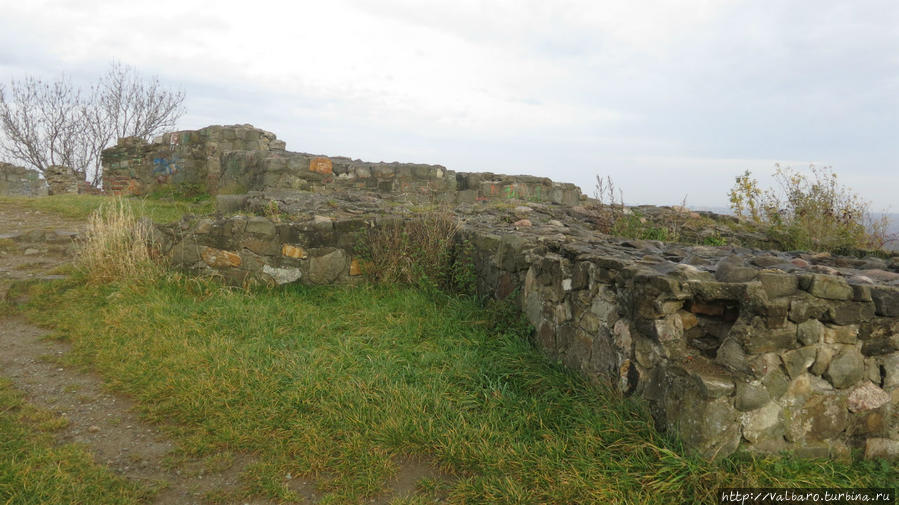 Руины замка Тарновских Тарнув, Польша