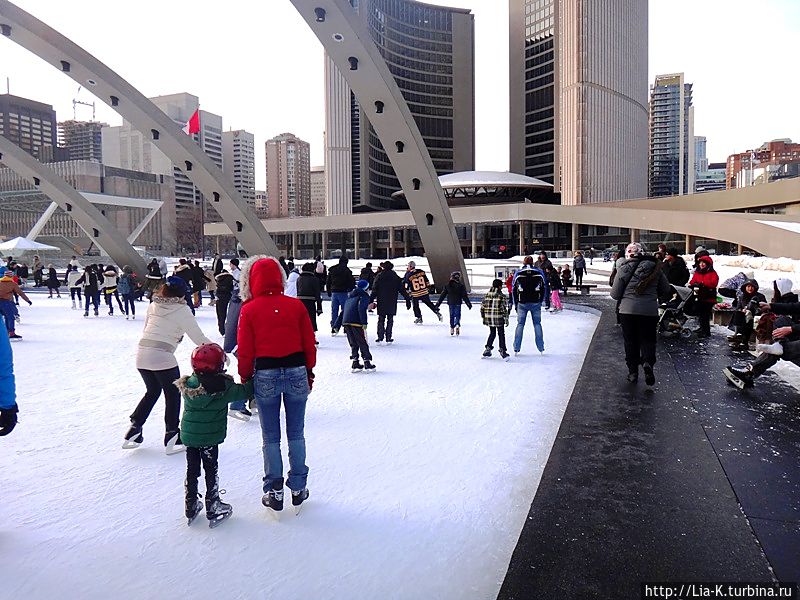 Каток на площади Натана Филипса / Nathan Phillips Square Ice Skating