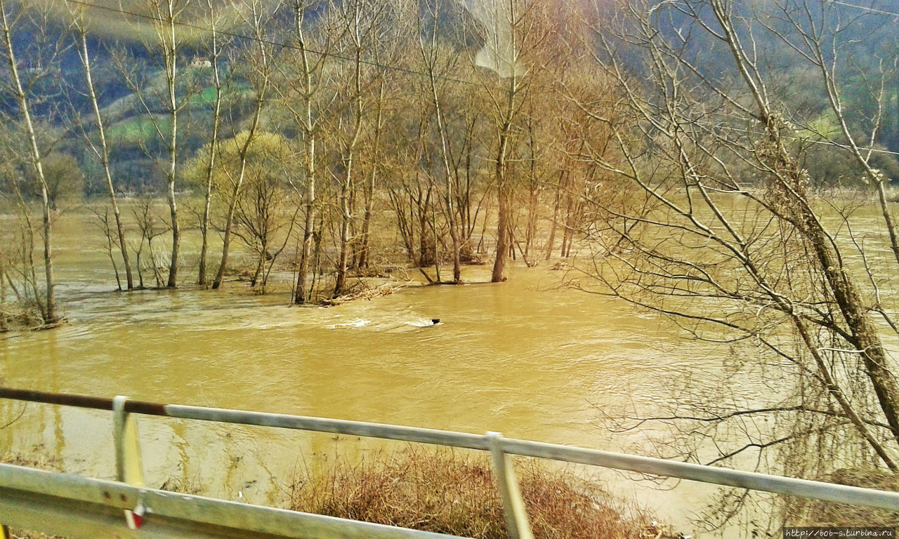 В апреле речки растекались серьёзно Мокра Гора, Сербия