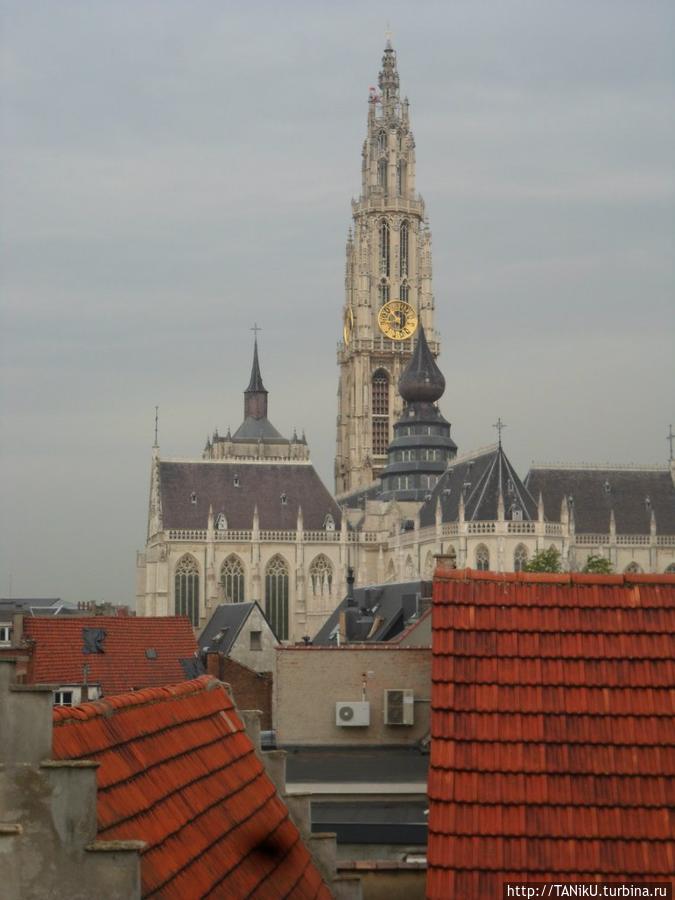 Кафедральный собор Антверпенской Богоматери Антверпен, Бельгия