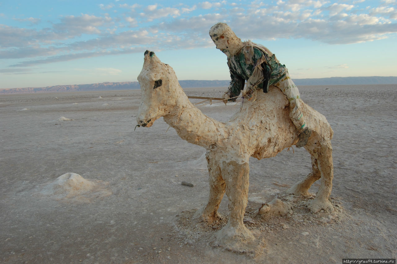 Верблюжий антураж Туниса Тунис