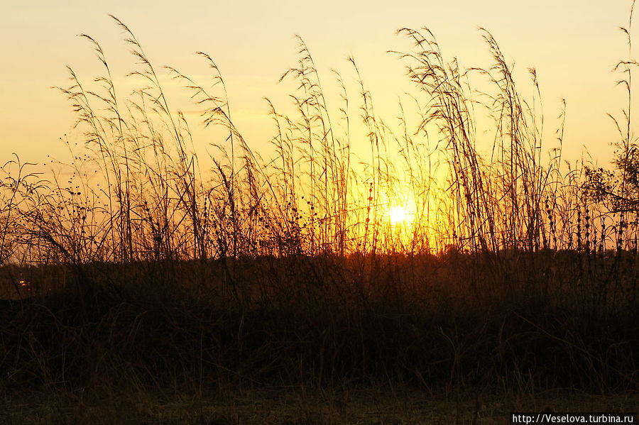 Танзания. Продолжение Танзания Танзания. Продолжение Танзания