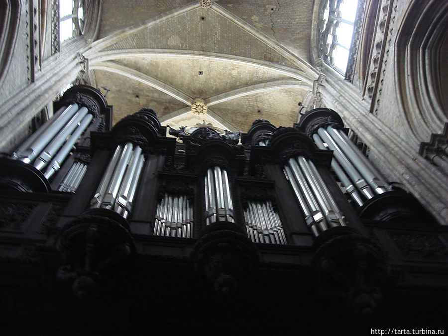 Орган в соборе Орган в соборе