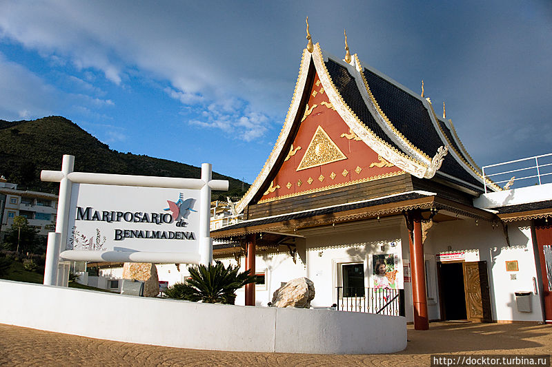 Парк бабочек Парк бабочек