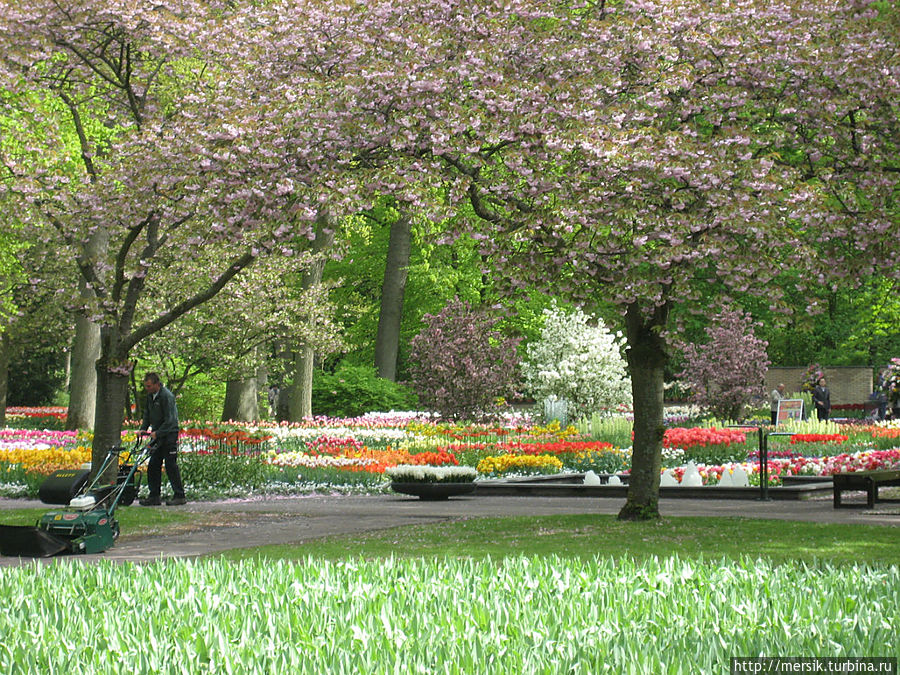 Парк тюльпанов Кёкенхоф. Пруды, каналы, фонтаны Лиссе, Нидерланды