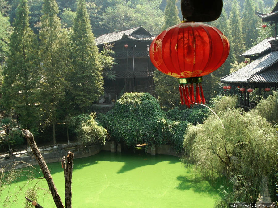 Обязательный пруд около терема Чжанцзяцзе Национальный Лесной Парк (Парк Аватар), Китай