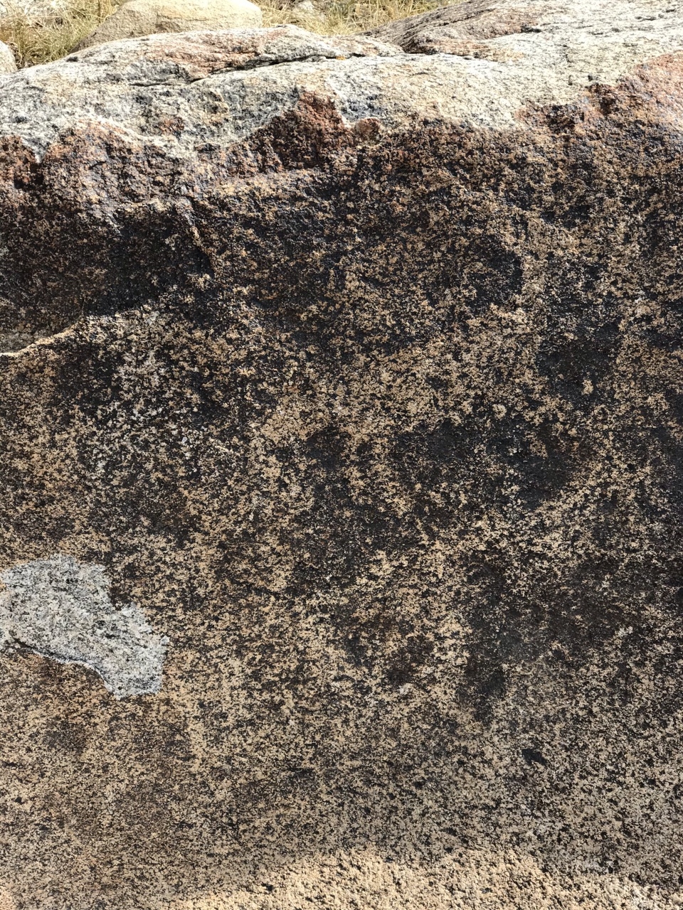 Изображение горных козлов 
VI-X вв. 

На камне изображены горные козлы. Среди всех рисунков выделяется фигура козла в верхней части. Его ноги изображены полностью, морда и хвост детализированы. Часть рисунка подновлена. Чолпон-Ата, Киргизия