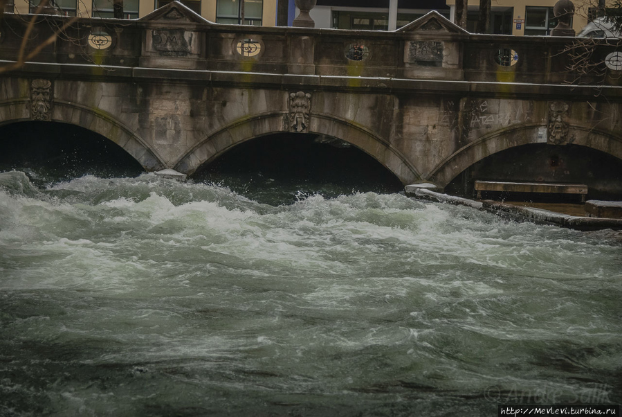 Сёрфер в центре города Мюнхен, Германия Сёрфер в центре города Мюнхен, Германия