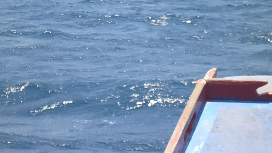Край орущих петухов. На лодке из Бусуанги в Палаван