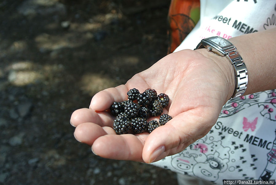 Вкусняшка!!! Вкусняшка!!!