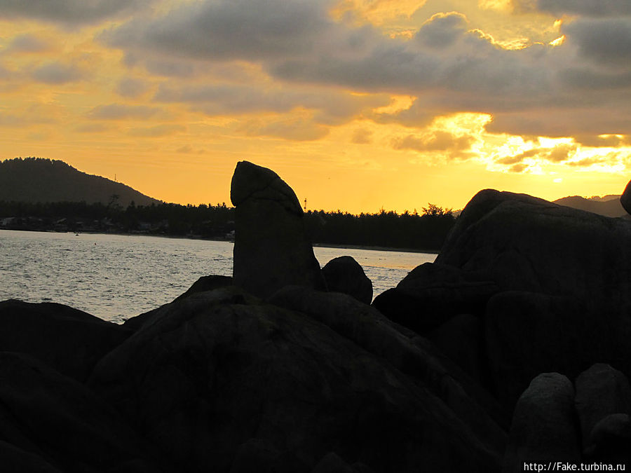 дедушкин) дедушкин)